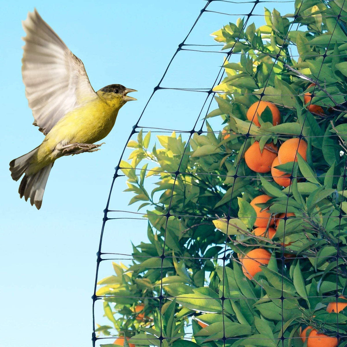 Feitore reusable garden netting made of PP saves time and money.