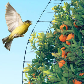 Feitore reusable garden netting made of PP saves time and money.