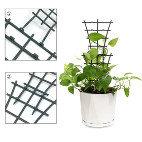 Feitore Hoya and pothos benefit from stable climbing support with this trellis.