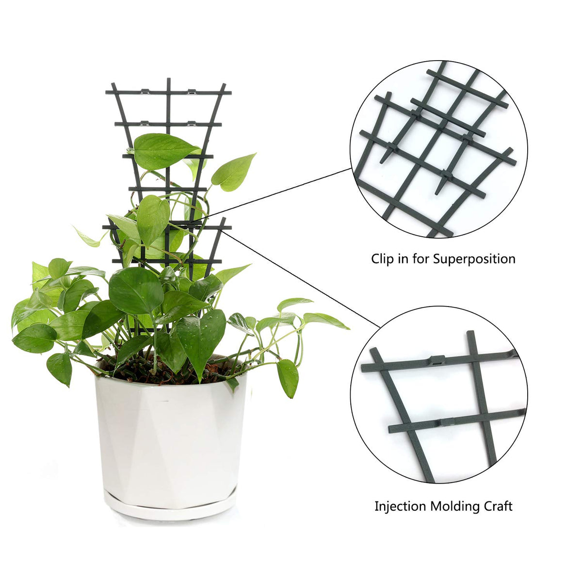 Feitore invisible green trellis blends with pots and foliage.