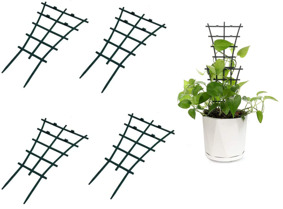 Feitore mini plant trellis setup supports climbing plants in pots.
