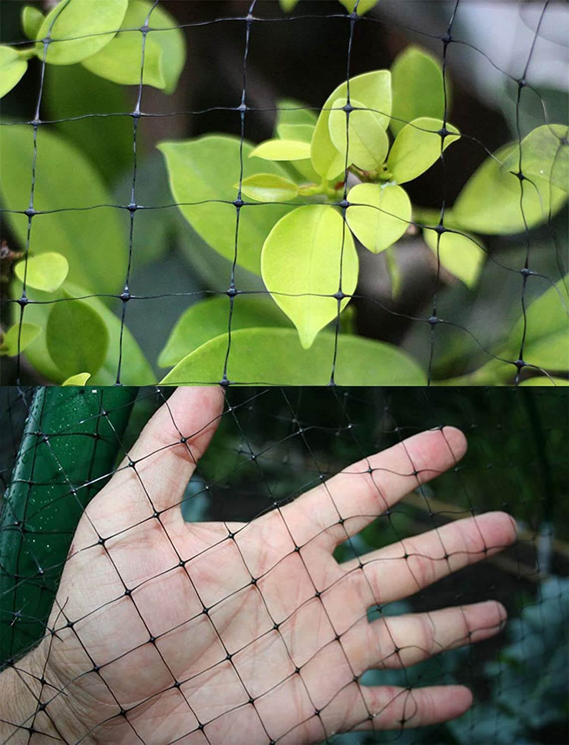 Feitore multi-use netting guards plants, fruits, and trees in gardens and yards.