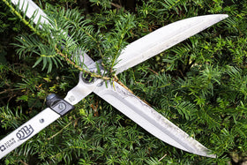 FELCO F250-57 carbon blades cutting through dense shrubs with smooth, maintained edges.