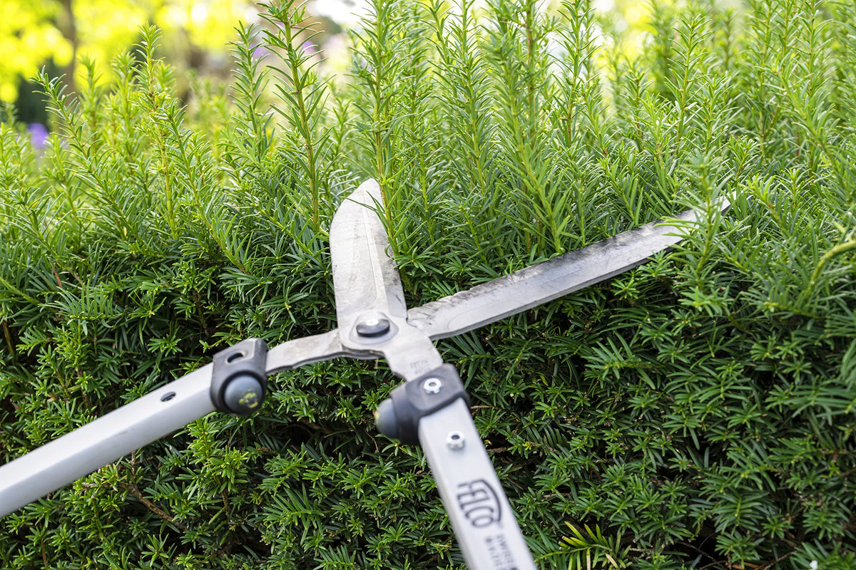 FELCO F250-57 garden use image shows precise shaping in hedges and shrubs.