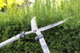 FELCO F250-57 garden use image shows precise shaping in hedges and shrubs.