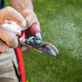 FELCO981 resin remover provides a biodegradable cleaning option for pruning tools