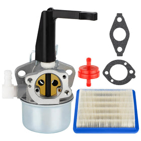 Ferilter 696065 carburetor assembly close-up showing precise fit for Briggs Stratton engines