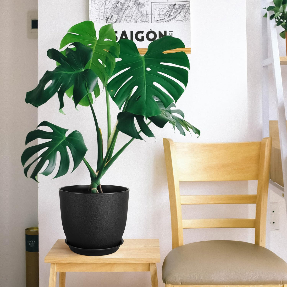 Ferlypote planters help indoor and outdoor herb, succulent, and flower arrangements thrive.