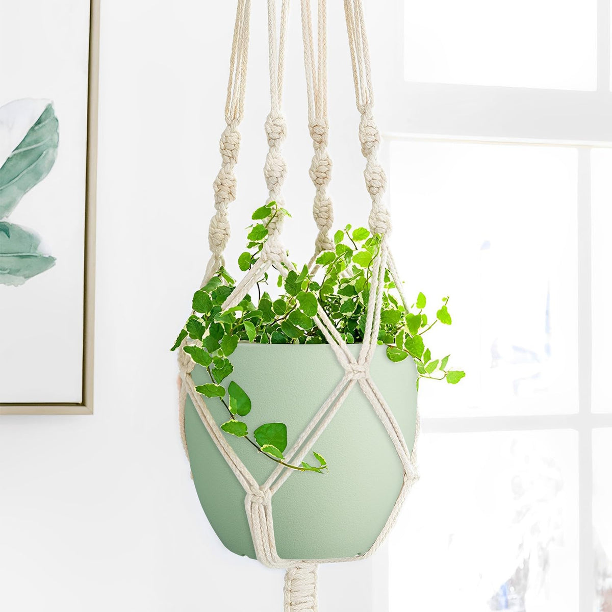 Ferlypote modern green planter complements home decor.