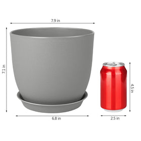 Ferlypote pot suitable for indoor and outdoor use on a balcony or windowsill.
