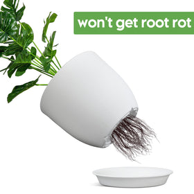 Ferlypote pot with a matte finish exterior that suits modern decor.