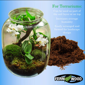 Fernwood Terrarium Substrate supports natural habitats in terrariums and vivariums.
