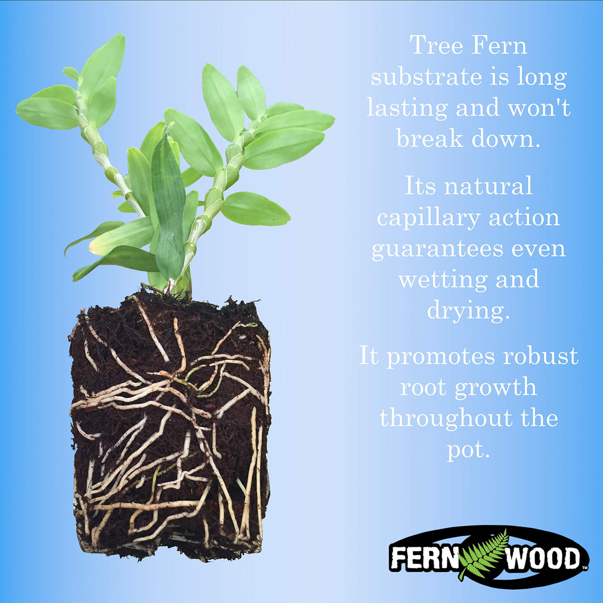 Fernwood Tree Fern Substrate shows moisture balance for orchids and epiphytes.