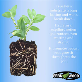 Fernwood Tree Fern Substrate shows moisture balance for orchids and epiphytes.