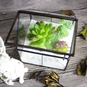 Ferrisland glass terrarium brass frame detail and sturdy construction
