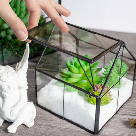 Ferrisland glass terrarium clear glass for bright light transmission