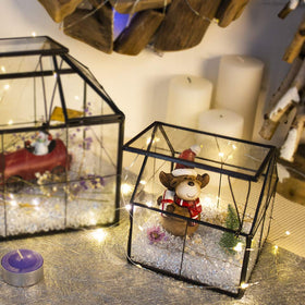 Ferrisland terrarium as a desk centerpiece for tables and shelves