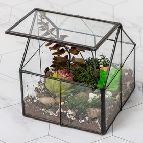 Ferrisland glass plant terrarium front view showing compact desk-friendly design