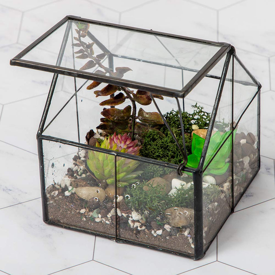 Ferrisland glass plant terrarium front view showing compact desk-friendly design