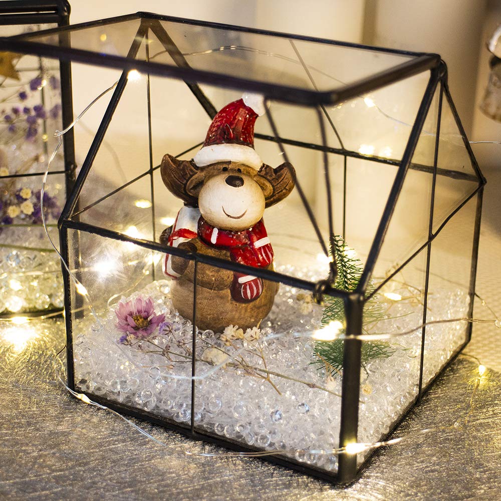 Ferrisland terrarium with swing lid for easy access and airflow