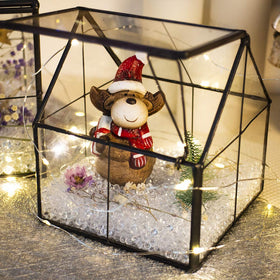 Ferrisland terrarium with swing lid for easy access and airflow