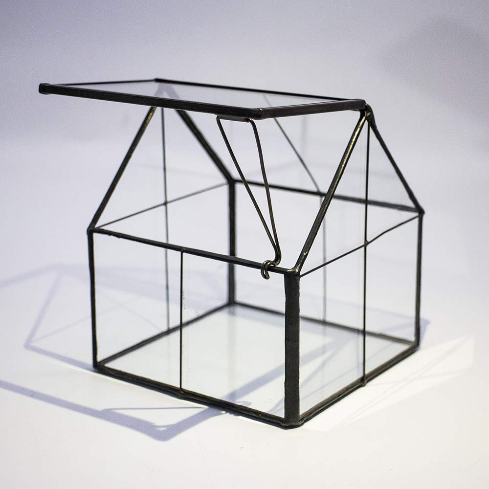 Ferrisland glass terrarium used as tabletop decor accent