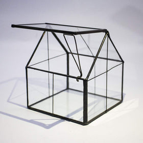 Ferrisland glass terrarium used as tabletop decor accent