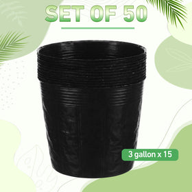 Ferrochef 12-inch seedling pots ideal for easy transplanting and handling.