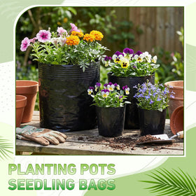 Ferrochef bulk 50-pack nursery bags for large projects and gifting events.