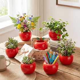 Ferrochef end-of-year gift apple pot to celebrate growth