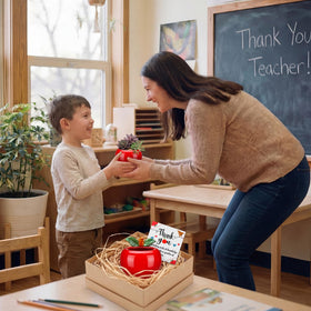Ferrochef gift packaging featuring card set for teachers