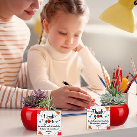 Ferrochef mixed-color apple pot enhances indoor decor