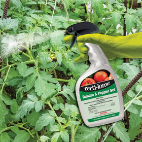 Ferti-Lome blossom spray bottle demonstrates coverage for peppers and tomatoes
