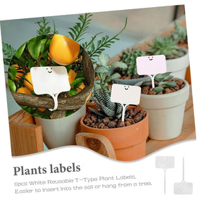 Fertile Rain seed spreader—versatile for flowers and vegetables.