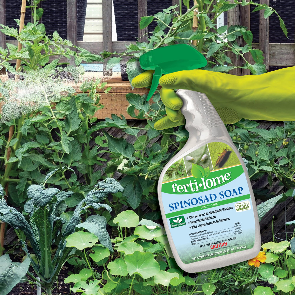 Ferti-lome Spinosad Soap on leaves for beetle and caterpillar management.