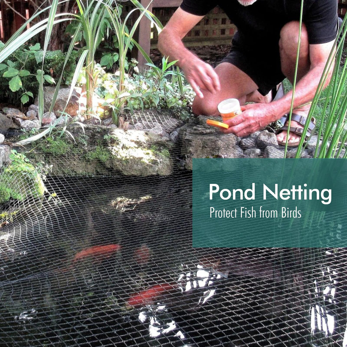 Fetanten 5/8 inch mesh netting preserves airflow while guarding trees