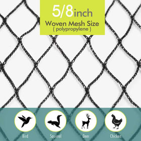 Fetanten blueberry protection netting shielding berries