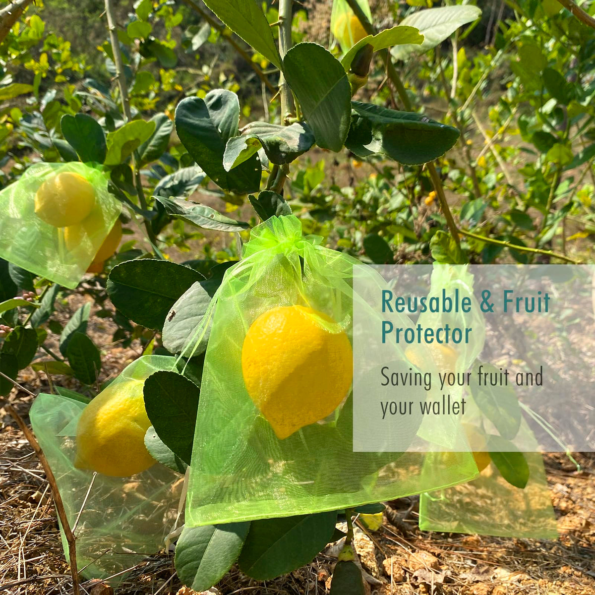 Versatile sizes from small cherries to large mangoes for harvests.