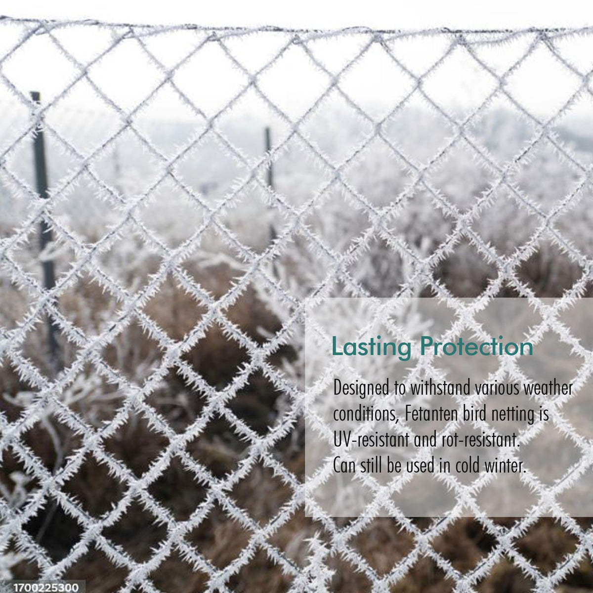 Fetanten garden netting protecting vegetables in the garden beds