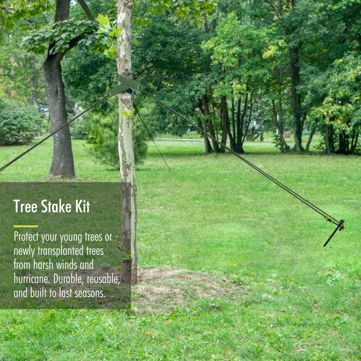 Fetanten heavy-duty steel stake 15-8-inch demonstrates durable grounding for windy yards