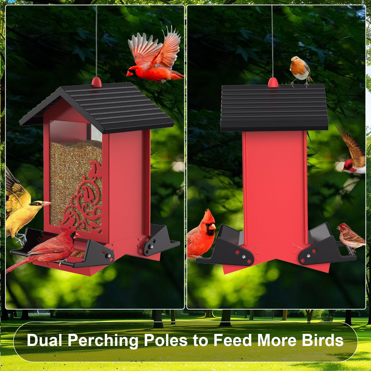 FETUSI squirrel-proof feeder lid with buttons keeps seeds secure.