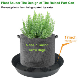 Feyvdzv 8-inch tray fits tabletop succulents with airflow.