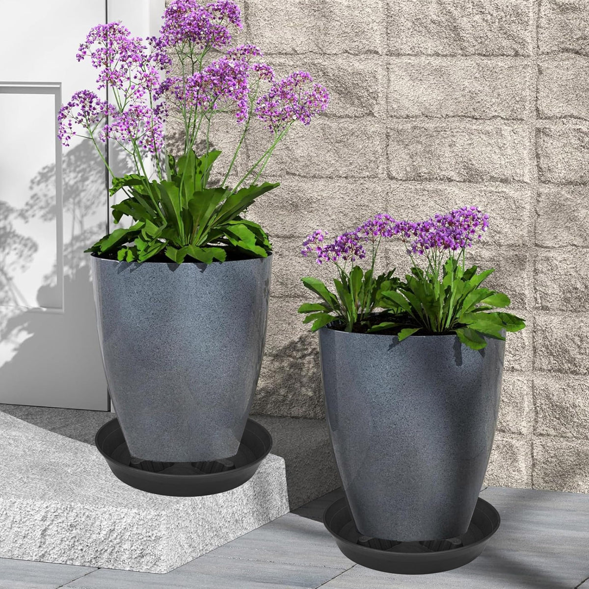 Feyvdzv easy-clean 8-inch saucer keeps plants tidy with minimal effort.