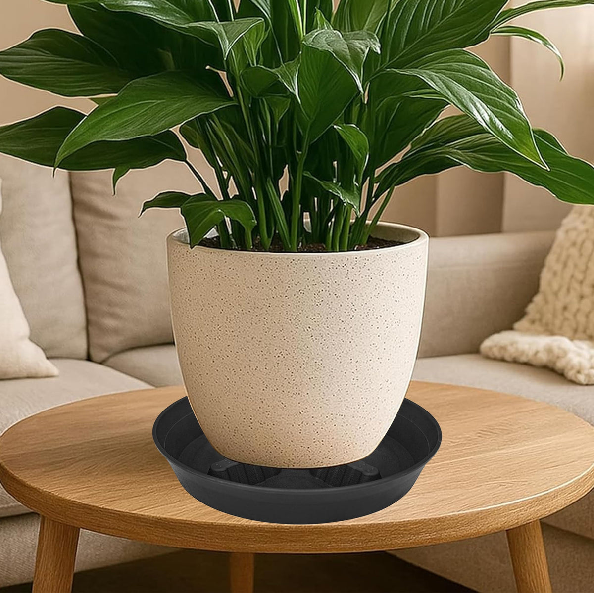 Feyvdzv indoor-outdoor 8-inch saucer suitable for living rooms and balconies.