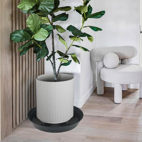 Feyvdzv multipurpose saucer for indoor and outdoor use.