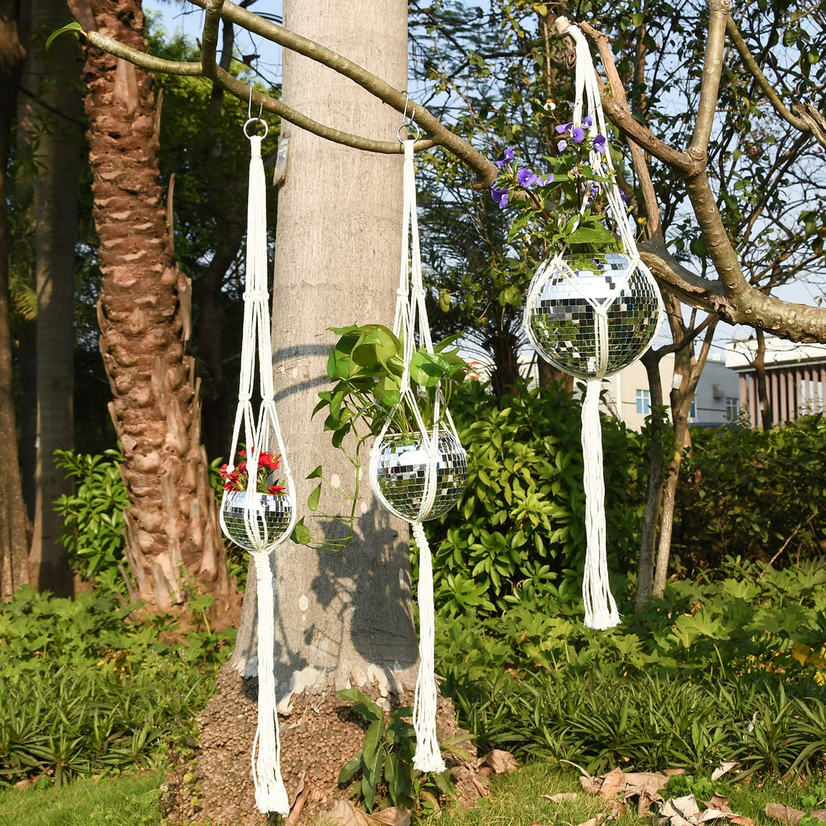FGBNM 5-inch opening fits small plants with flexible placement