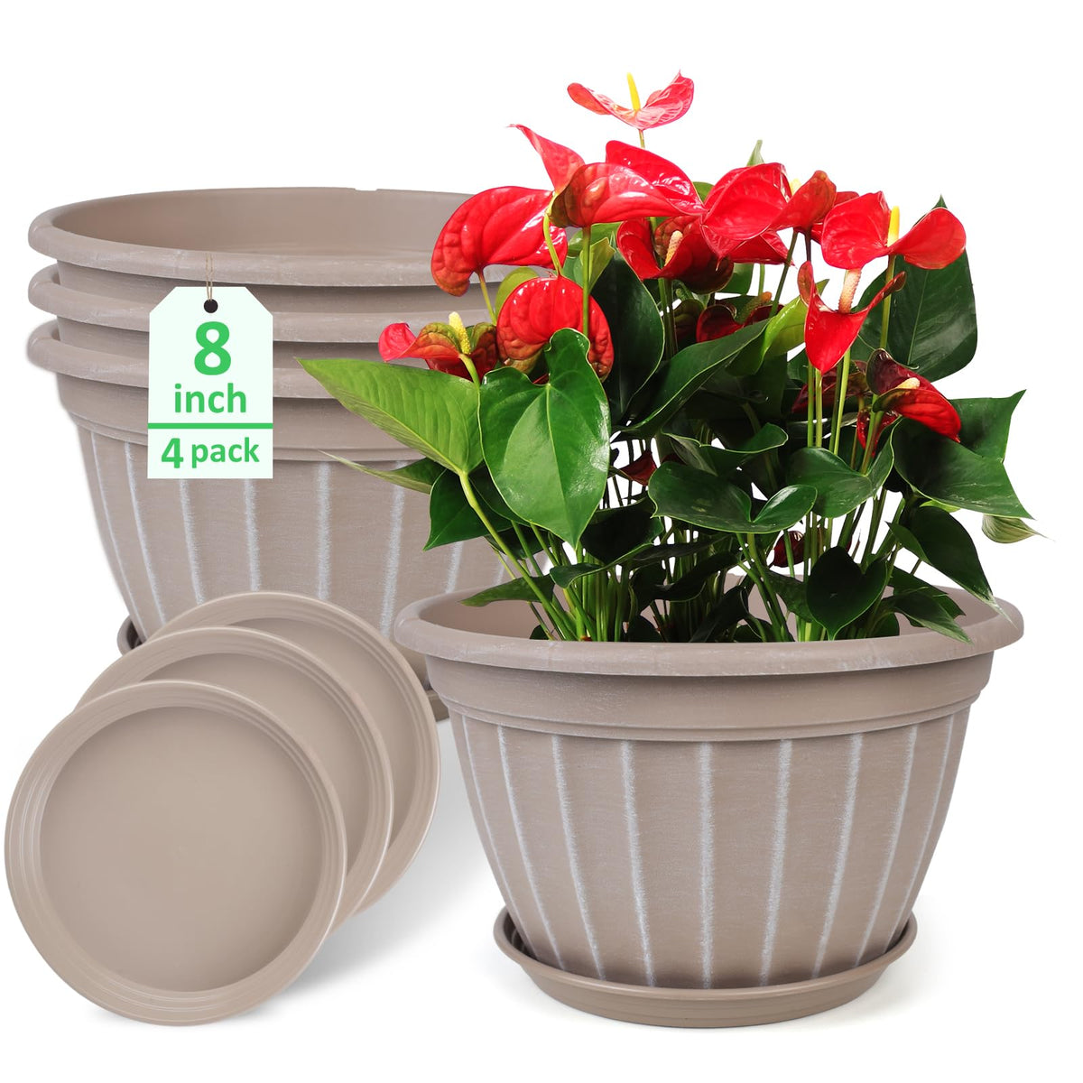 FGstyle 4-pack flower pots with 8-inch size and modern design for stylish indoor display