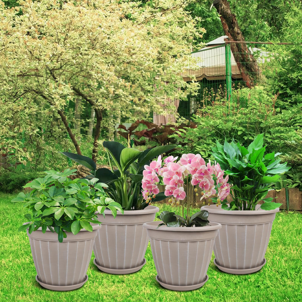 FGstyle garden-ready planter perfect for herbs on kitchen counter.