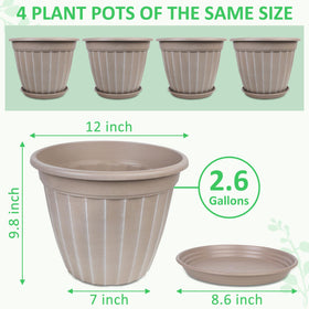 FGstyle beige decorative plant pot for Bird of Paradise or palms.