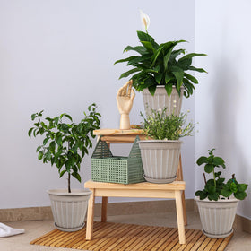 FGstyle indoor-outdoor suitable planter complements windowsills and balconies.